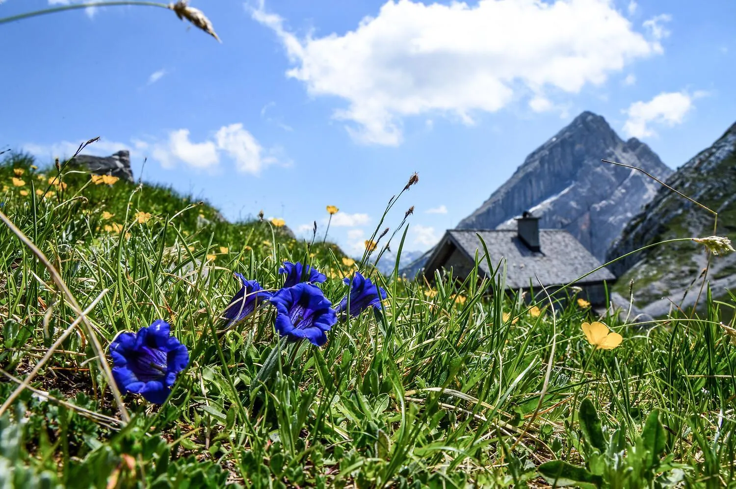 Haus Sonnenschein Ferienwohnung Watzmann Schoenau am Koenigsee 0*,  Germany